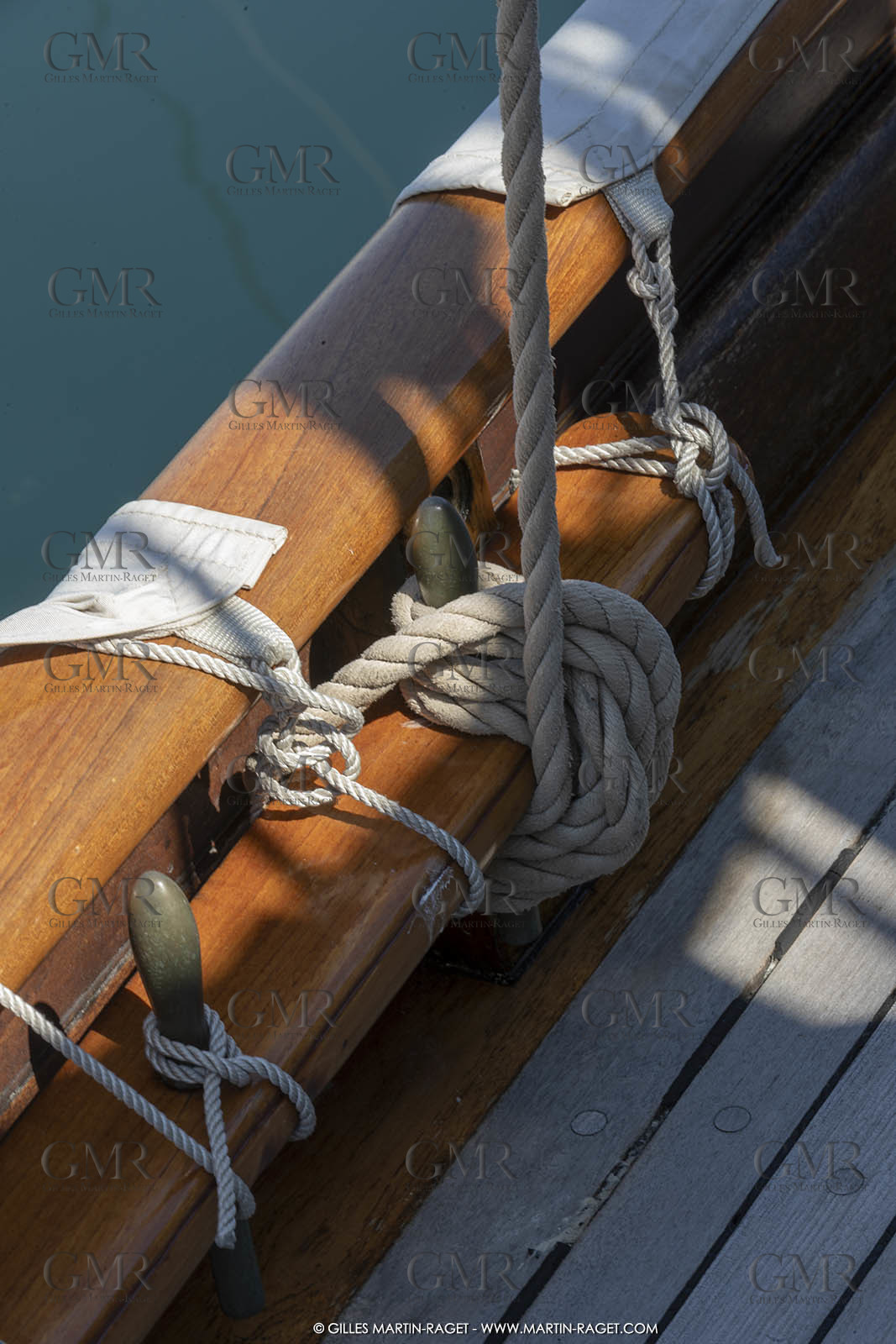 29 03 2019, Barcelona (Spain), Marigold