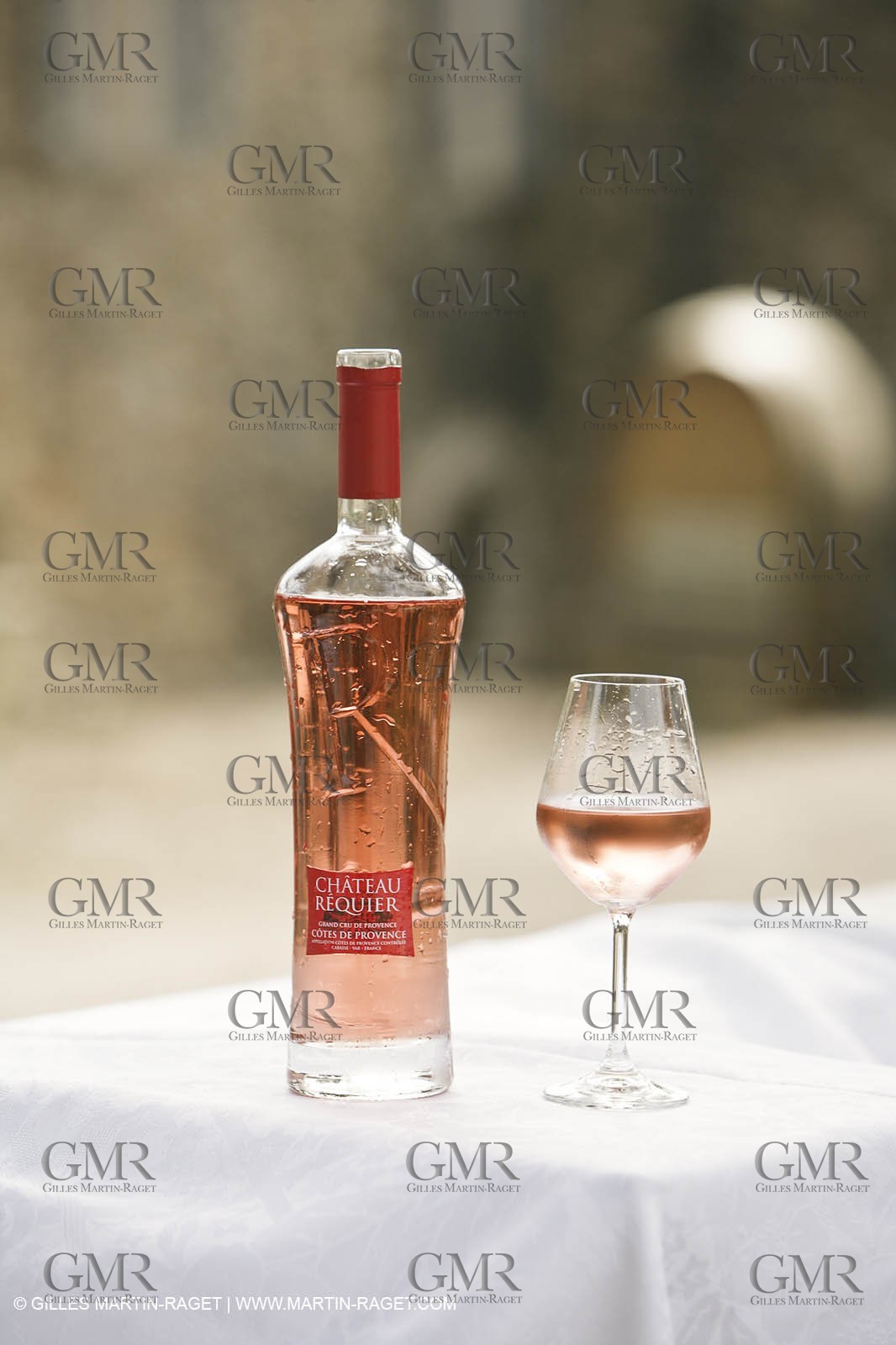 28 02 2008 - Cabasse (FRA, 83) - Domaine du Lac vines