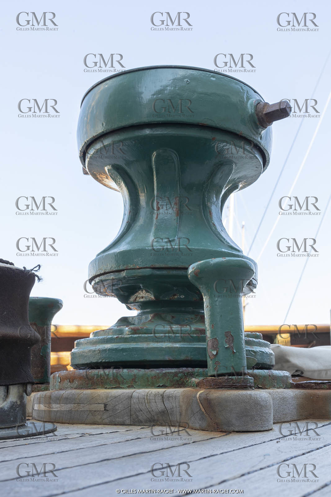 29 03 2019, Barcelona (Spain), Marigold