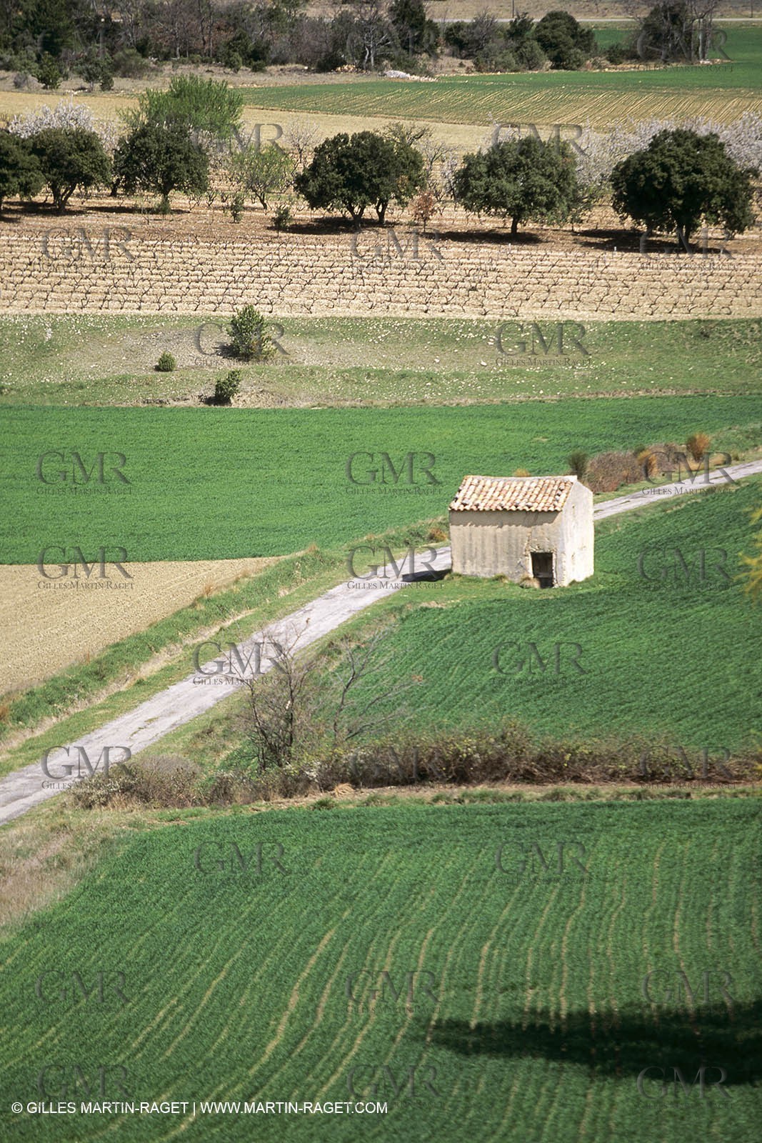 Luberon in winter near Saint Satrunin les Apt (FRA,84)