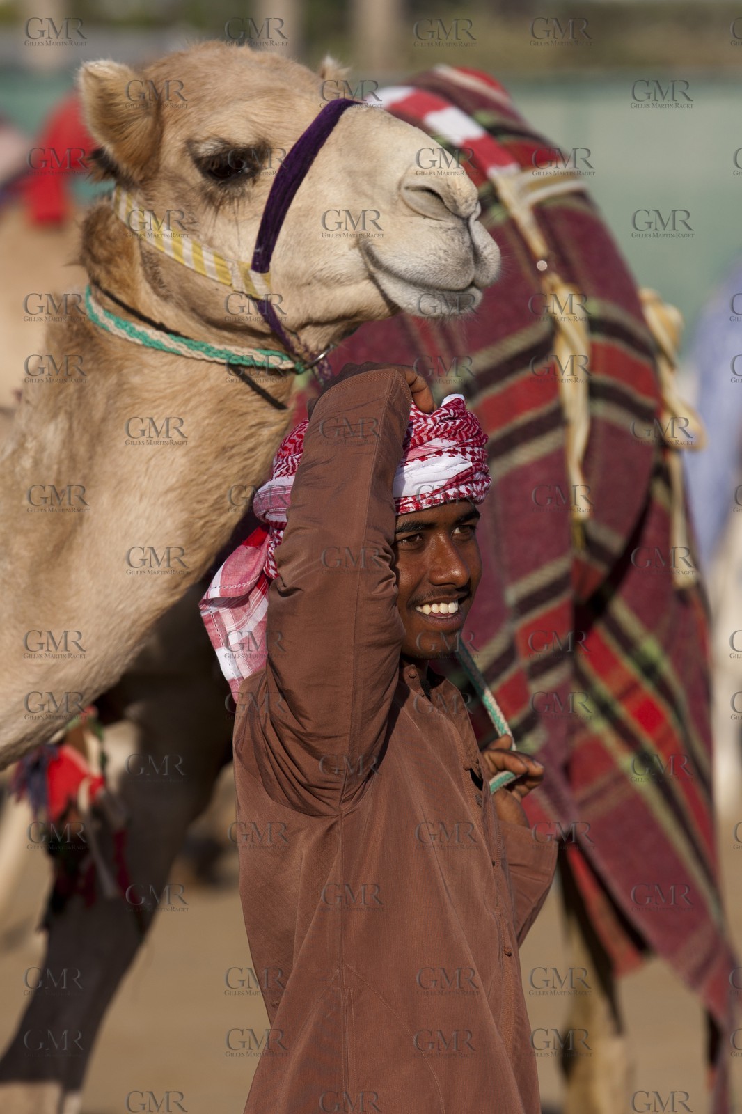 20 11 2010 - Dubai (UAE) - Camel races
