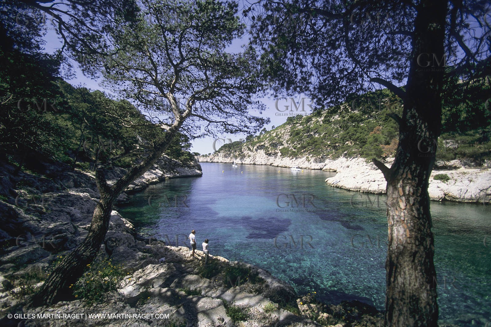 France, Provence, Les Calanques & Iles de Marseille, port Pin