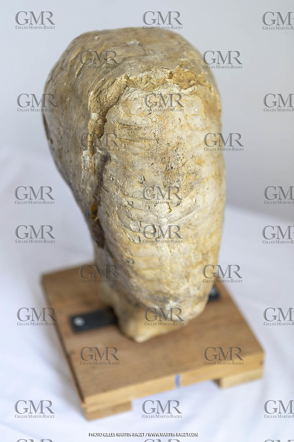 Oeuvre Germaine Richier, Plâtre buste n° 12, dit 'Le Tatou , 1934