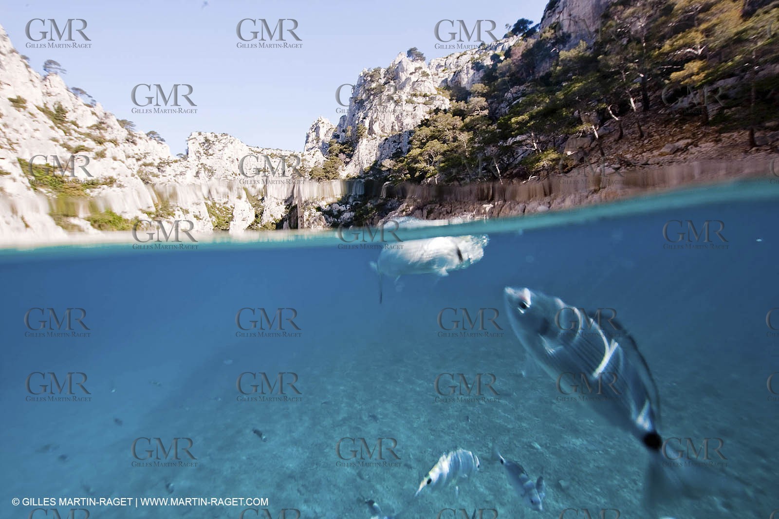 07 05 2009 - Marseille (FRA, 13) - Les Calanques - En Vau