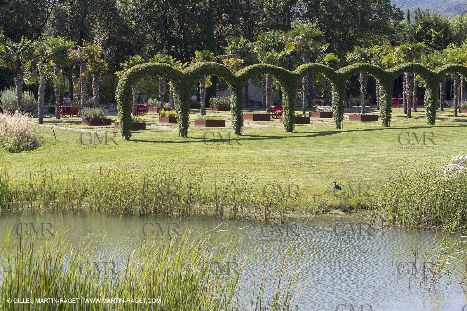 22 06 2018, Saint-Saturnin les Apts (FRA,84), Domaine des Andéols