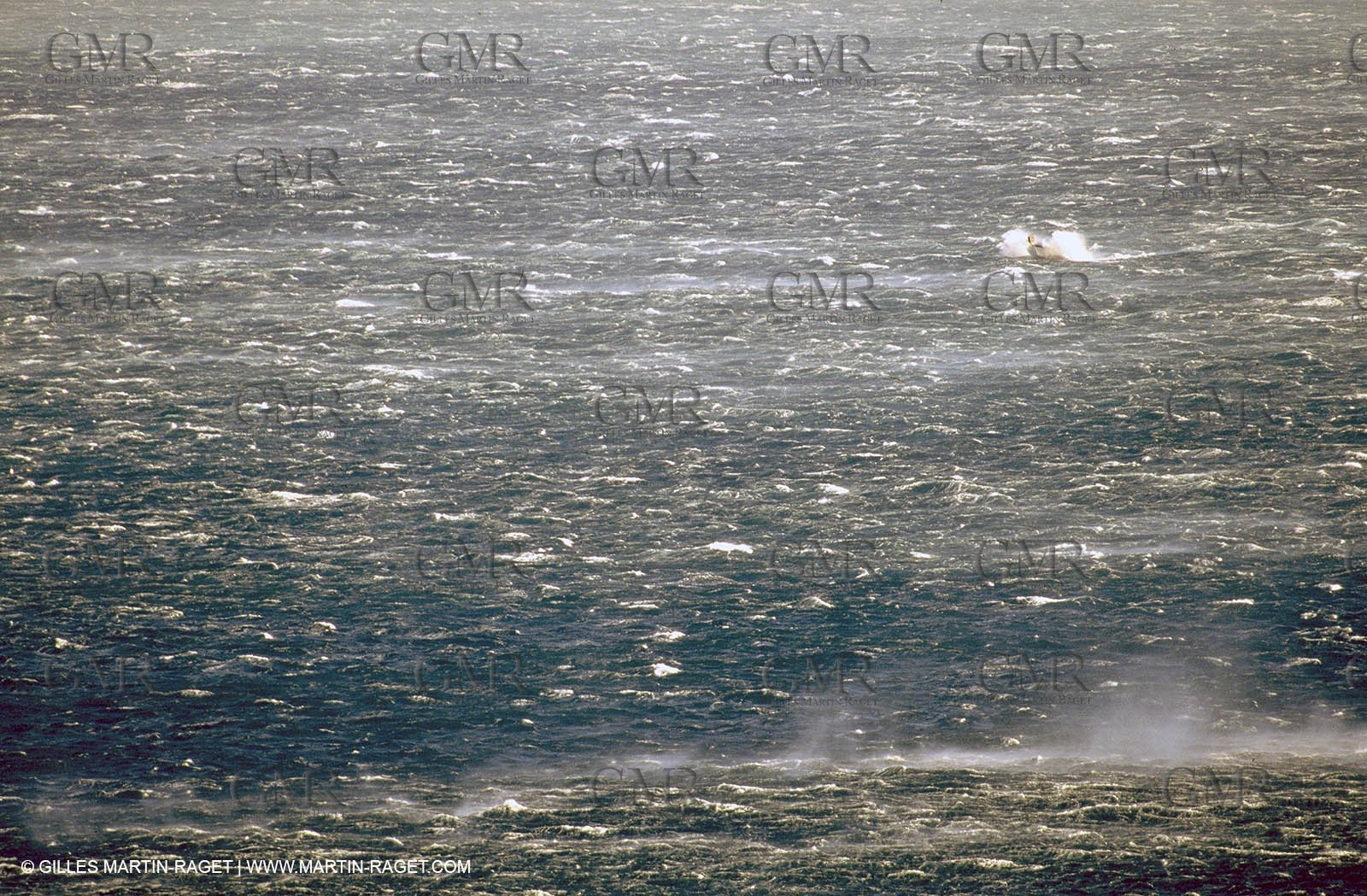 Wind