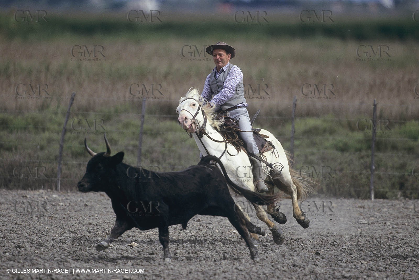 France, Provence, Camargue, Gardians de Camargue, métier, fêtes, élevage, tri