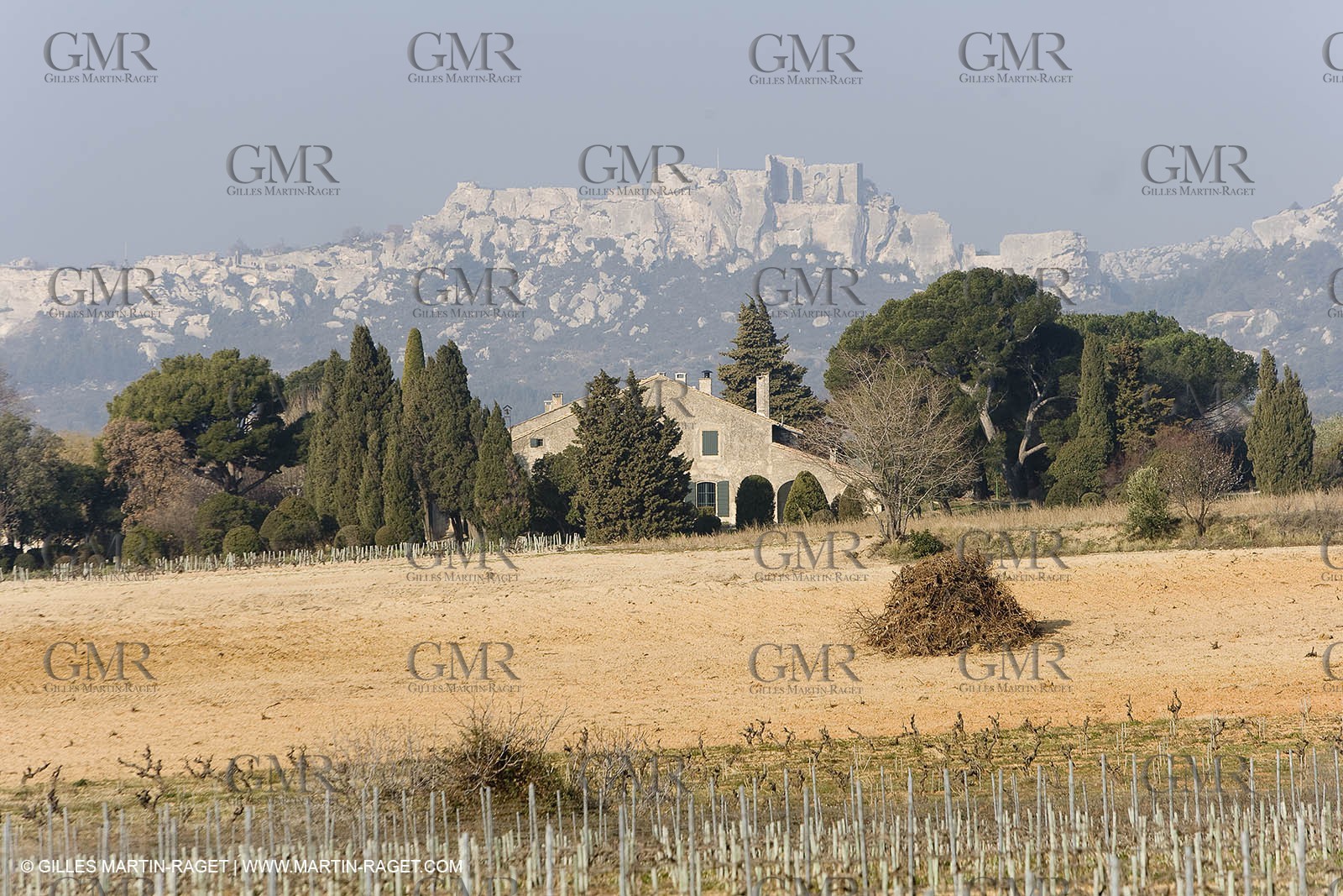 16 02 2008 - Les Baux de Provence (FRA, 13) - Paysages des Alpilles