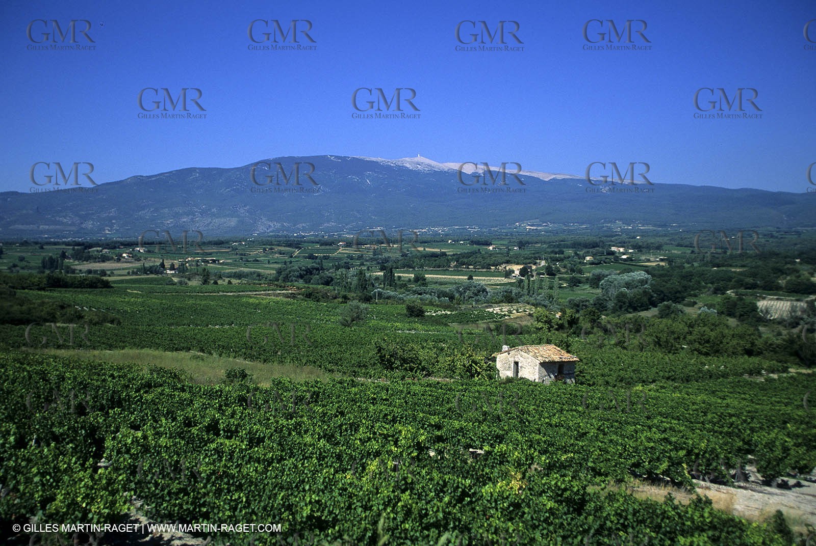 Provence - Cotes du Rhone - Mont Ventoux
