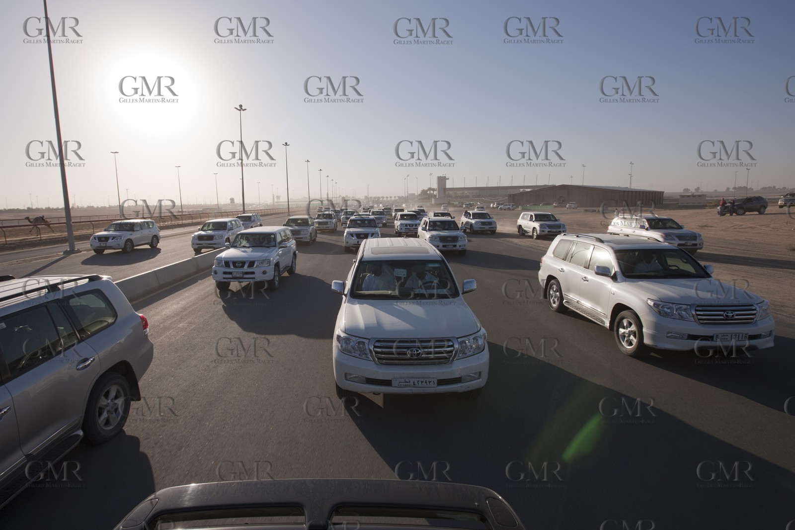 20 11 2010 - Dubai (UAE) - Camel races