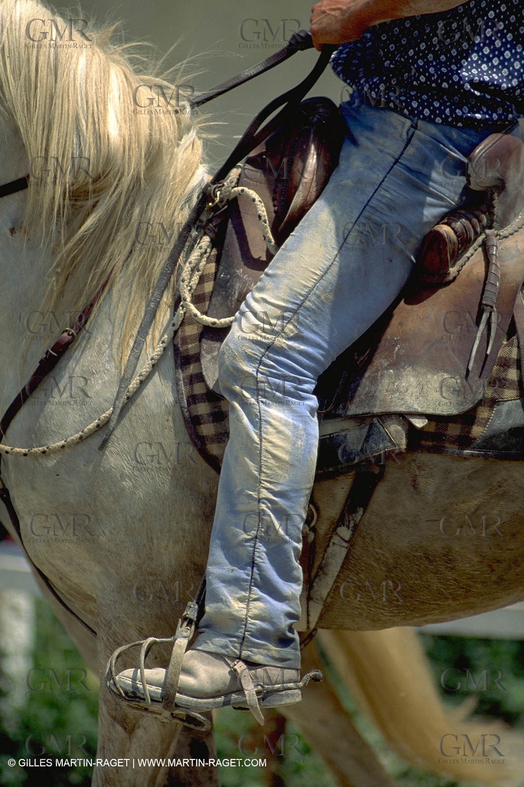 Arles - Camargue gardians (cow boys) at work