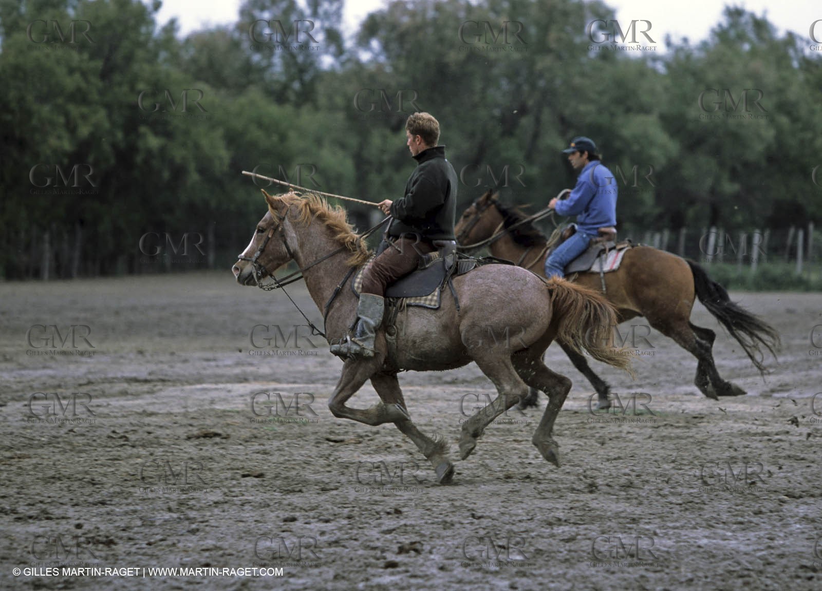 Arles - Camargue gardians (cow boys) at work