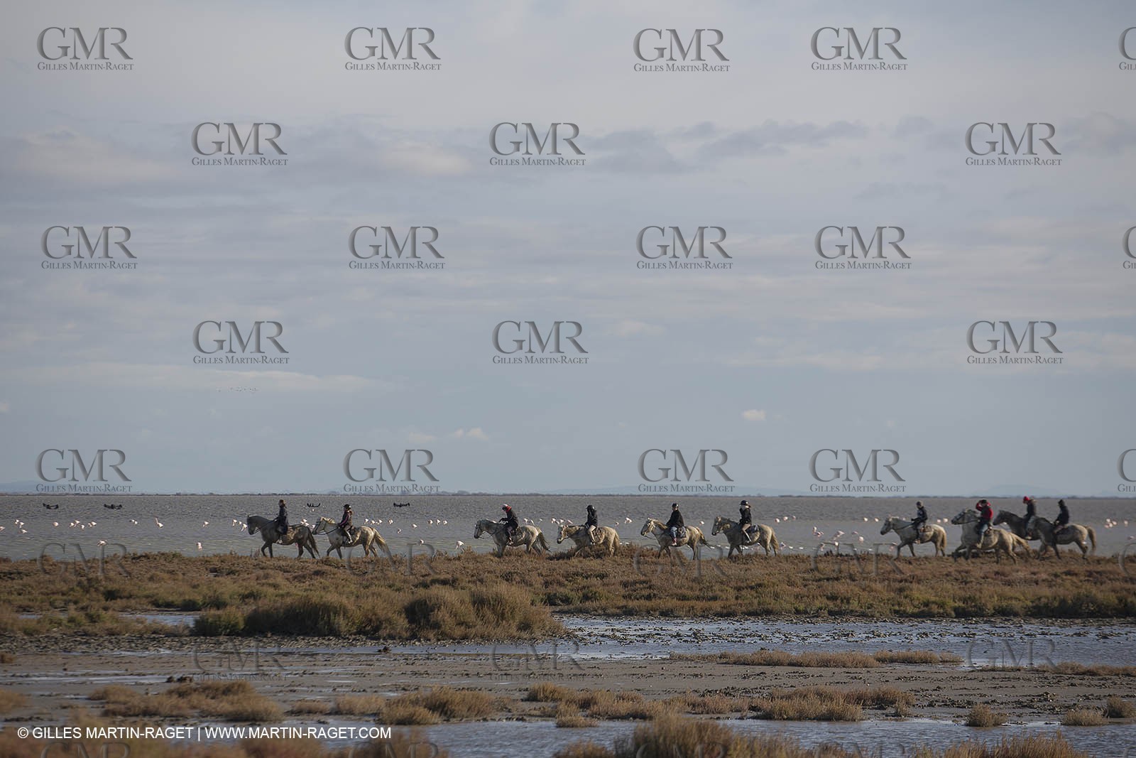 26 12 2013 - Les Saintes Maries de la Mer (FRA,13) - Horse riding at Cabanes de Cacharel