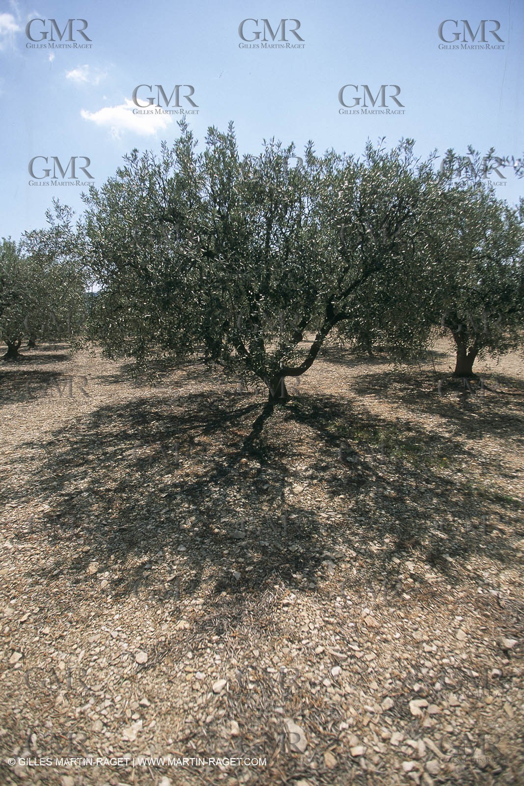 Nîmes Métropole landscapes (FRA,30) - Vaunage