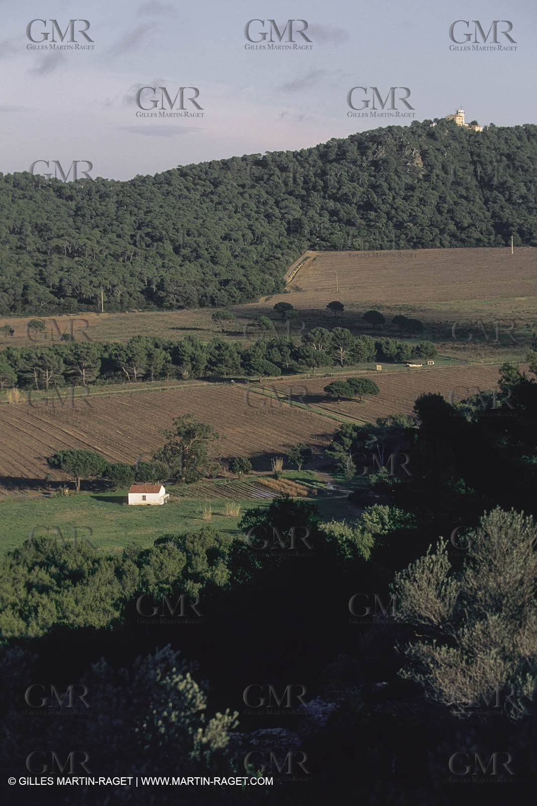 France, Provence, Iles d'Hyères, Porquerolles