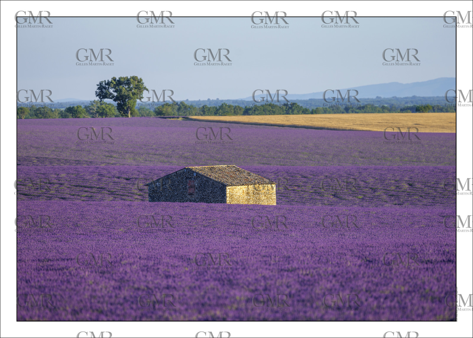 Produit : Tirage photo réalisé par nos soins sur imprimante jet d'encre professionnelle Epson à partir de 8 encres ultrachrome inaltérables (label Digigraphie).Formats au choix : . 30x40 cm. 50x70 cm. 80x120 cm.Choix des papiers :. Papier standard brillant 250 gr., filet noir, marge blanche, tirage non signé. Papier haut de gamme satiné 290 gr. filet noir, marge blanche, tirage vérifié et signé par l'auteur.. Autres supports (canvas, acrylique, dibond) sur demandeConditionnement : tube cylindrique renforcé.Options pour l'expédition : . colissimo + dépôt boîte aux lettres (France uniquement). Colissimo avec signature à réception. Transporteur express (2 jours ouvrés) avec signature à réceptionCliquez sur caddie pour sélectionner votre formule et démarrer la procédure de commande en ligne