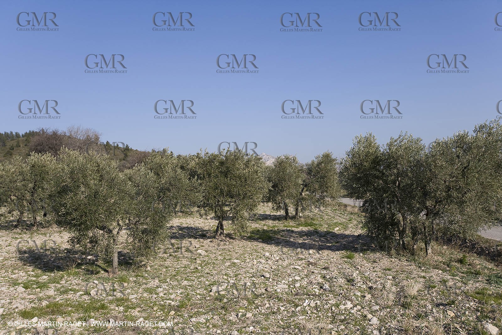 16 02 2008 - Les Baux de Provence (FRA, 13) - Alpilles hills landscapes