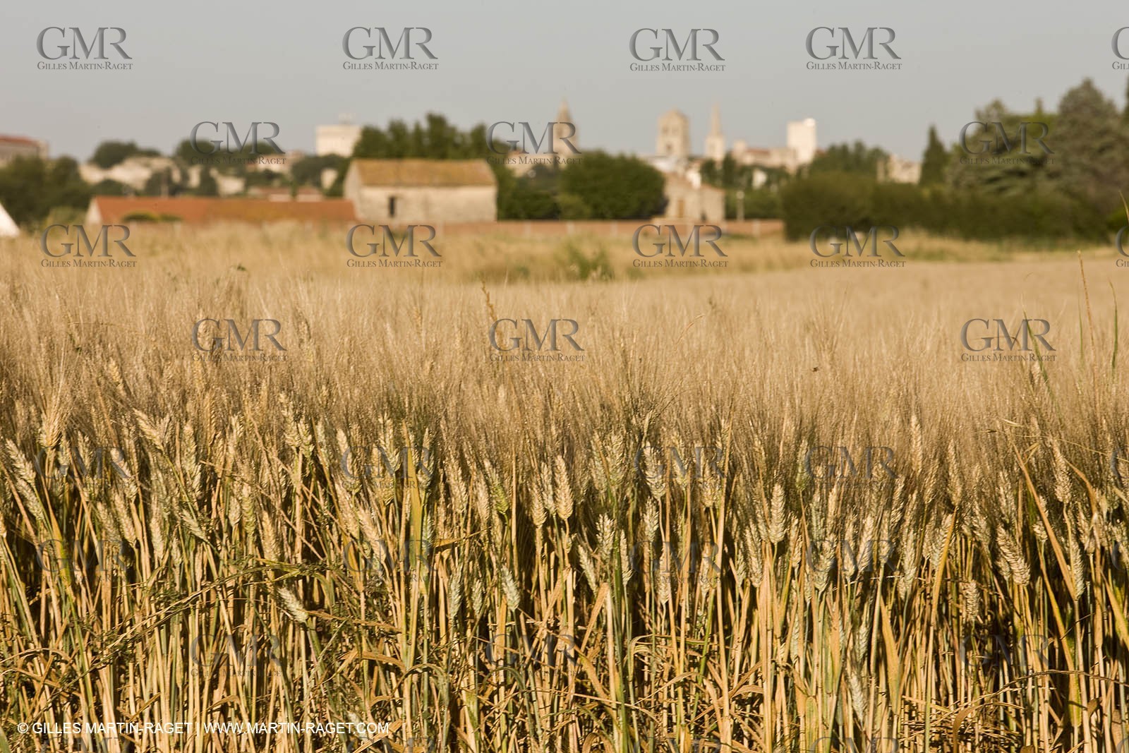 27 03 08-Arles- (FRA,13) - Van Gogh Landscapes