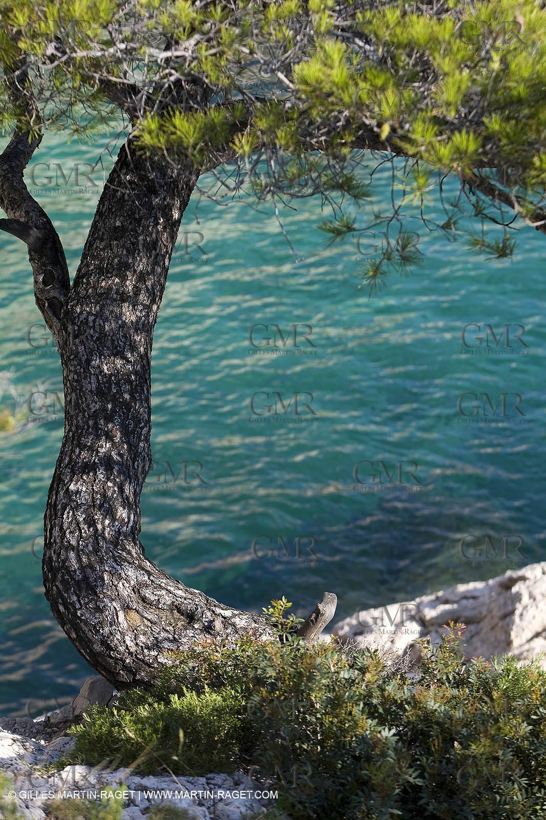 20 06 2008 - Marseille (FRA,13) - Croisière das les îles et les calanques - Sormiou