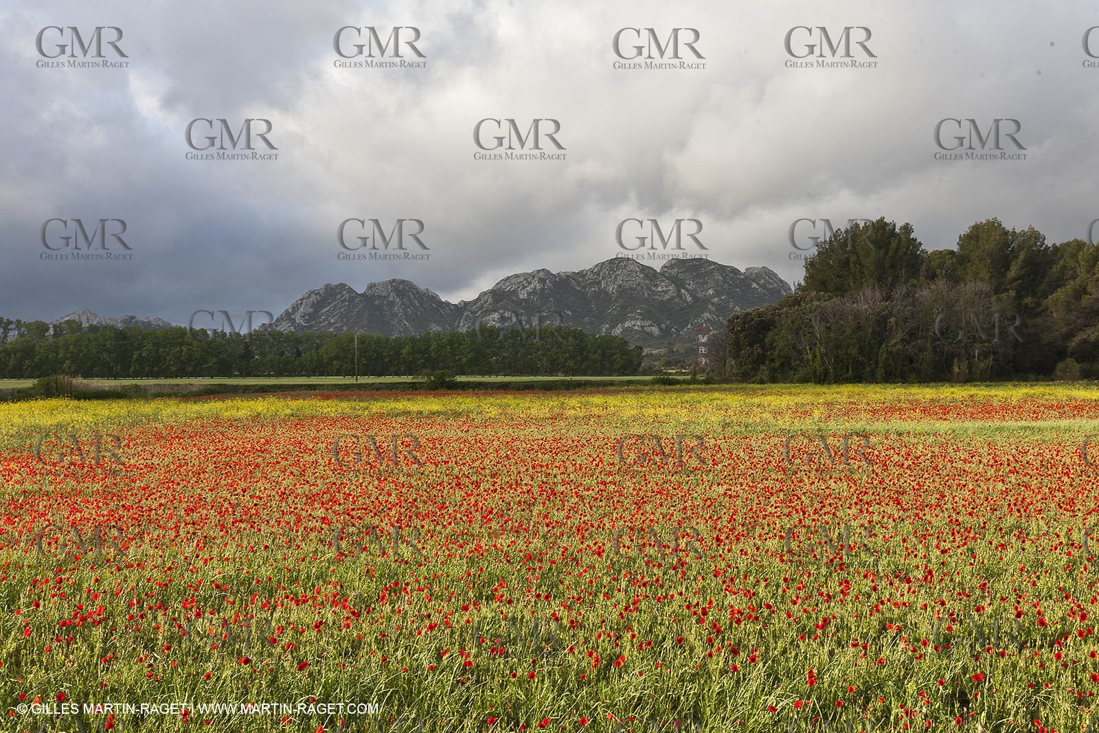 29 04 2012 ( Saint Rémy de Provence (FRA, 13) - Chaîne des Alpilles vers Romanin