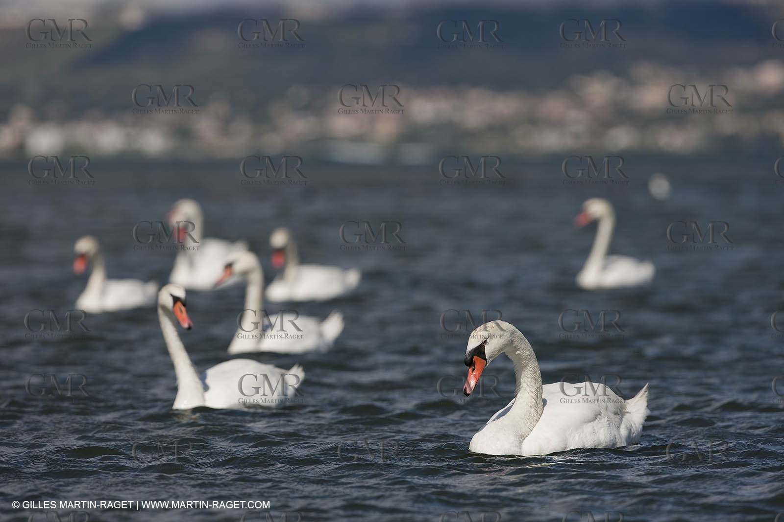 13 06 2012 - Berre l'Etang (FRA,13)