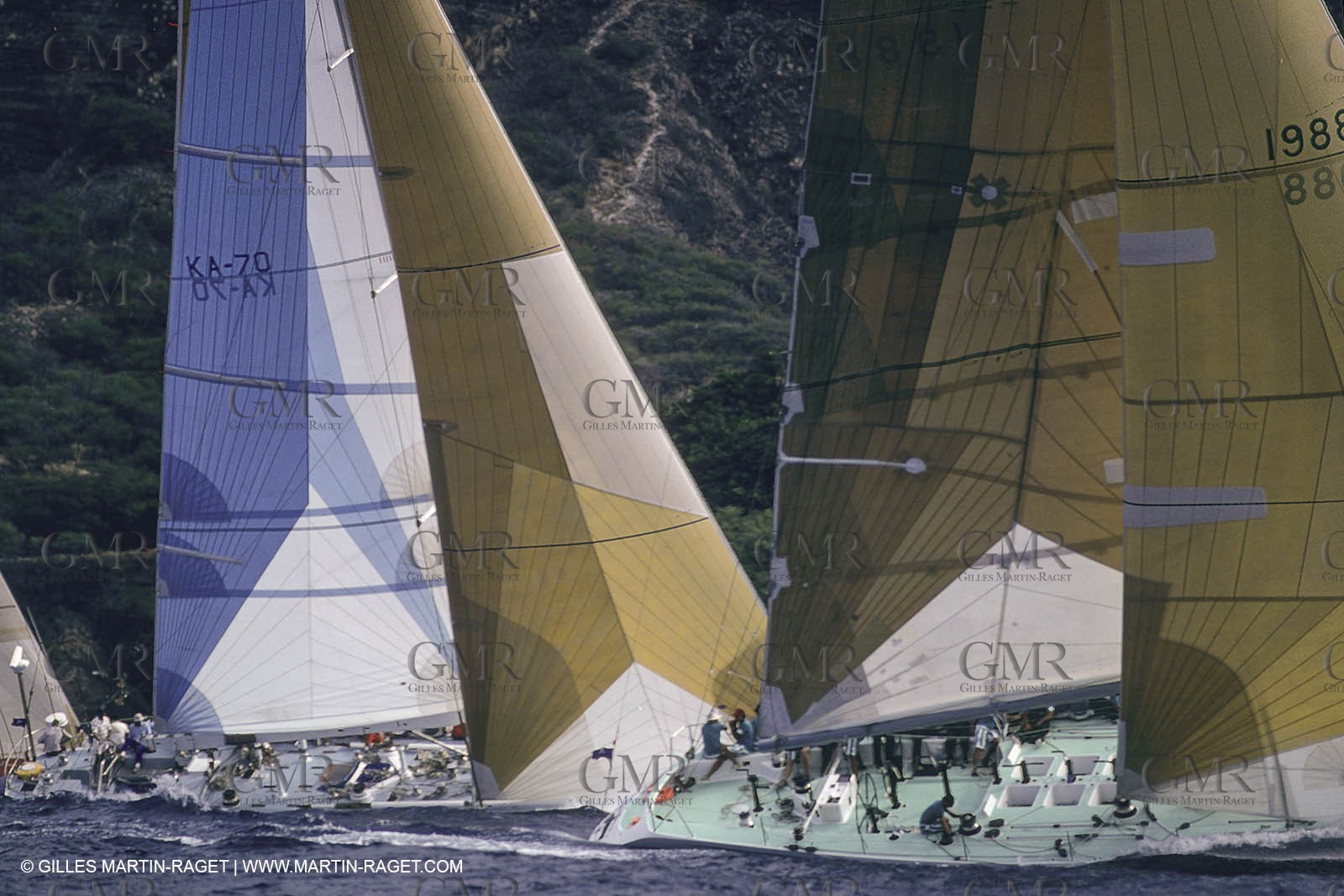 Kenwood Cup Hawai
