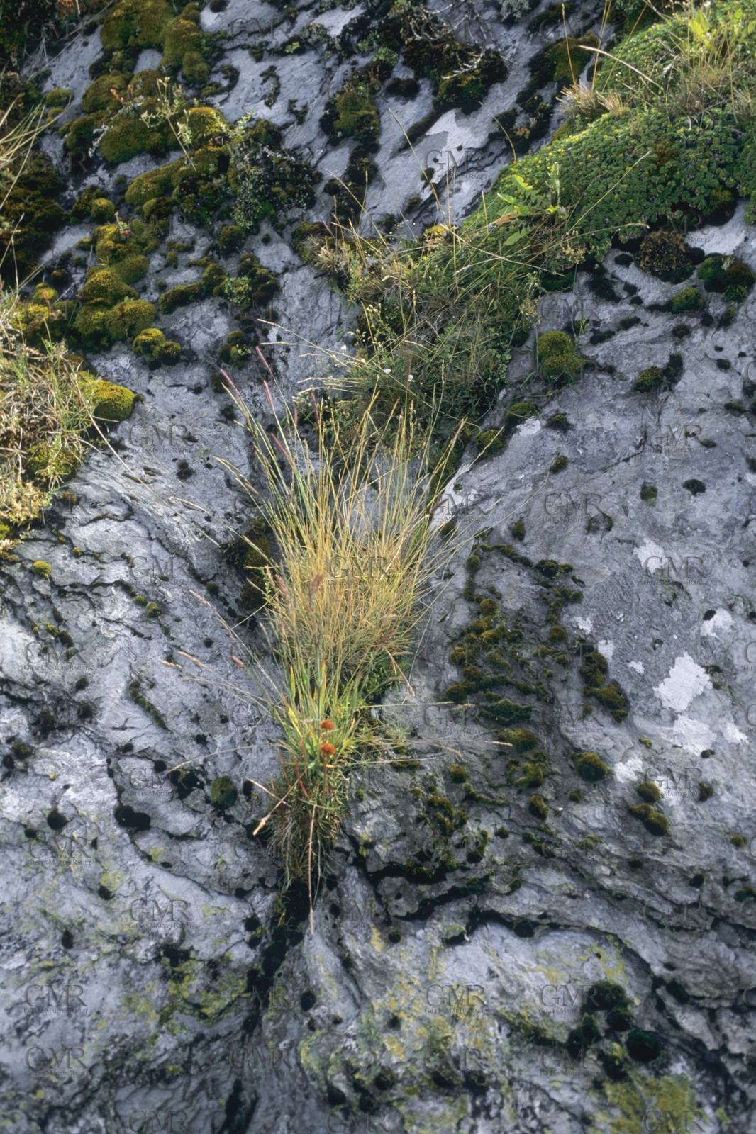 Sailing destinations, Patagonia, Chile