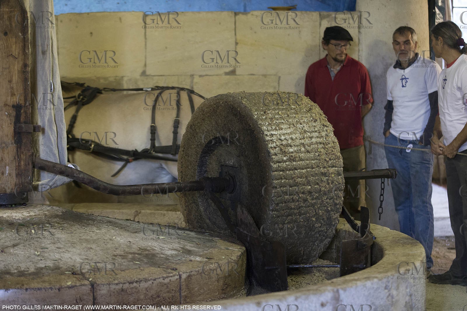 14 11 2015, Saint-Etienne du Grès (FRA,13), traditional making of olive oil at La Croix mill