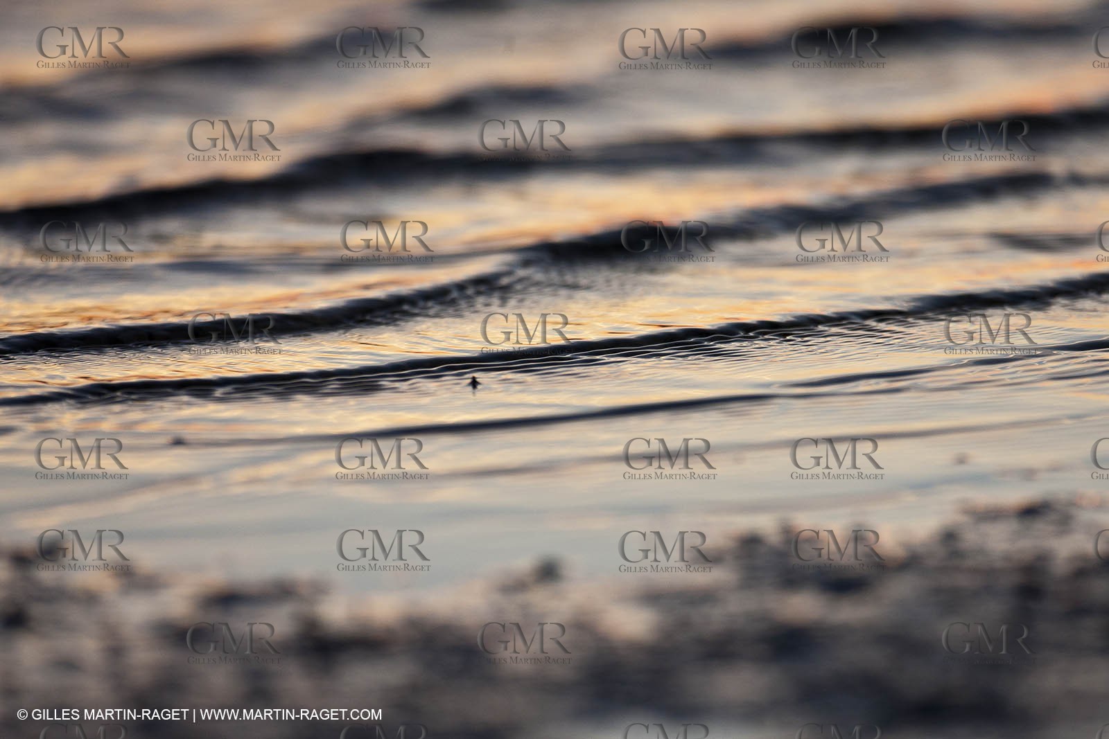 25 05 2011 - Les Saintes Maries de la Mer (FRA,13) - gypsies gathering