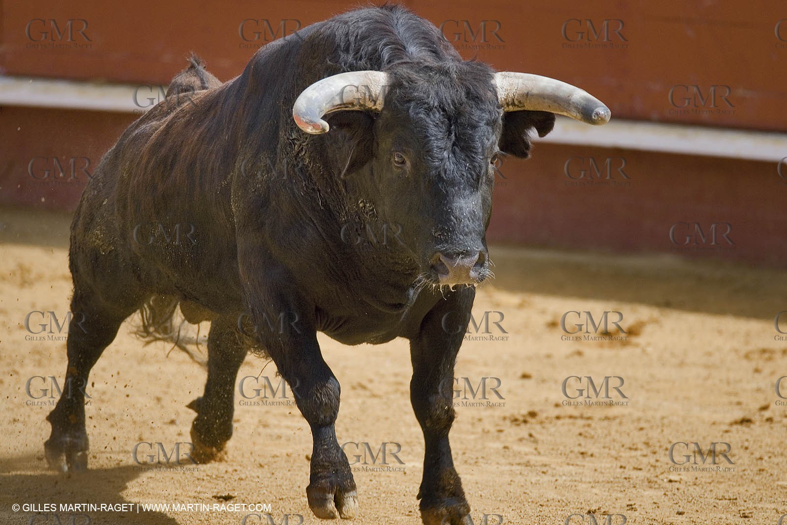 2006 Winter training - March 2006