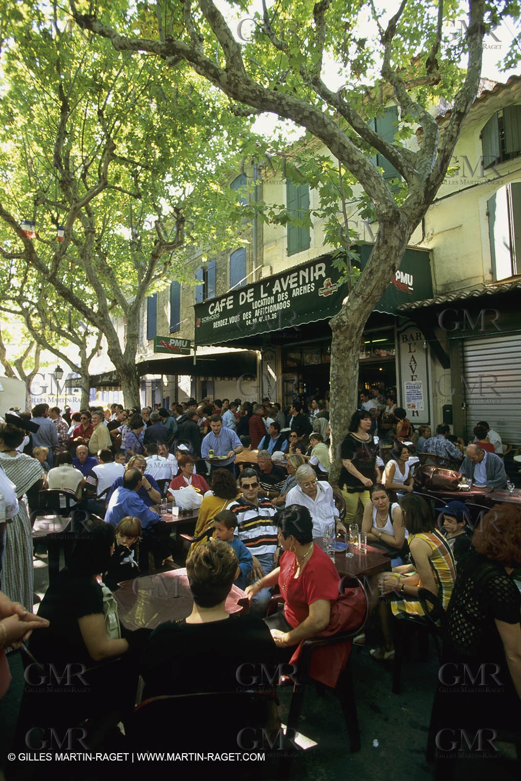 France, Provence, Saint-Rémy de Provence, Careto ramado (Char fleuri)