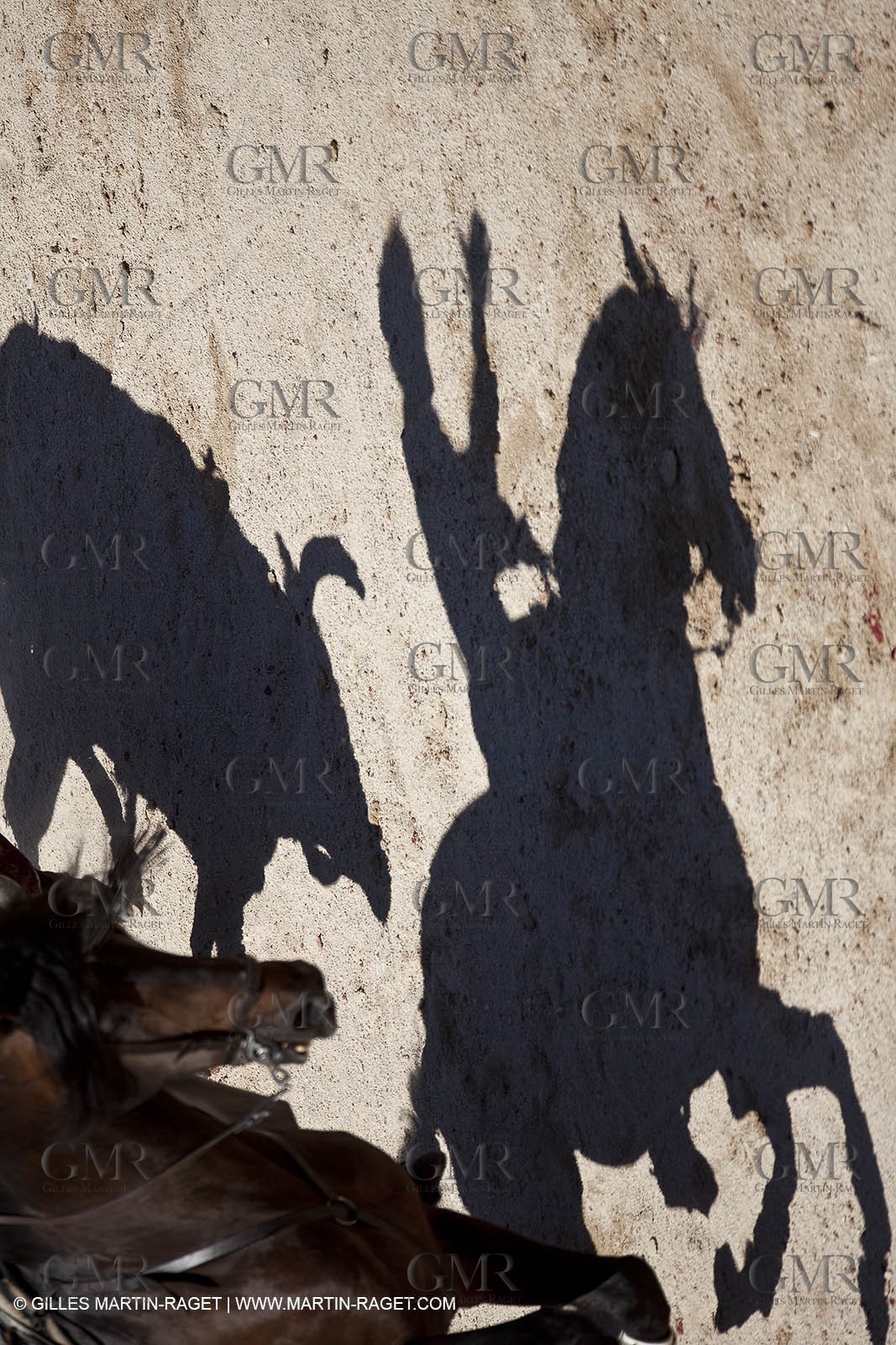 Monday 05 04 2010 - Arles (FRA,13) - Feria 2010 - -Corrida de rejon - Fermin Bohorquez - Pabloe Hemoso de Mendoza - Andy Cartagena - Toros Bohorquez