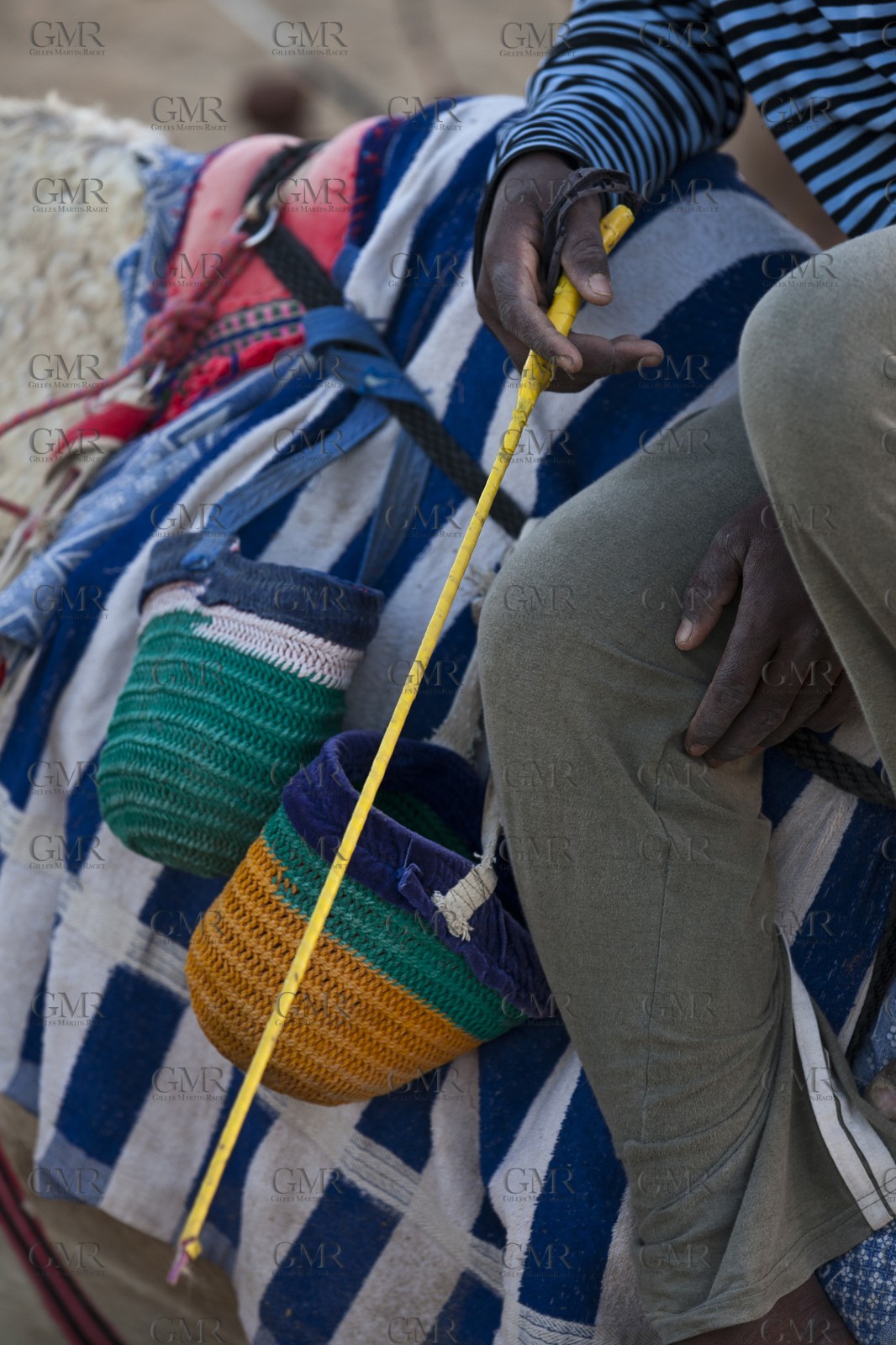 20 11 2010 - Dubai (UAE) - Camel races