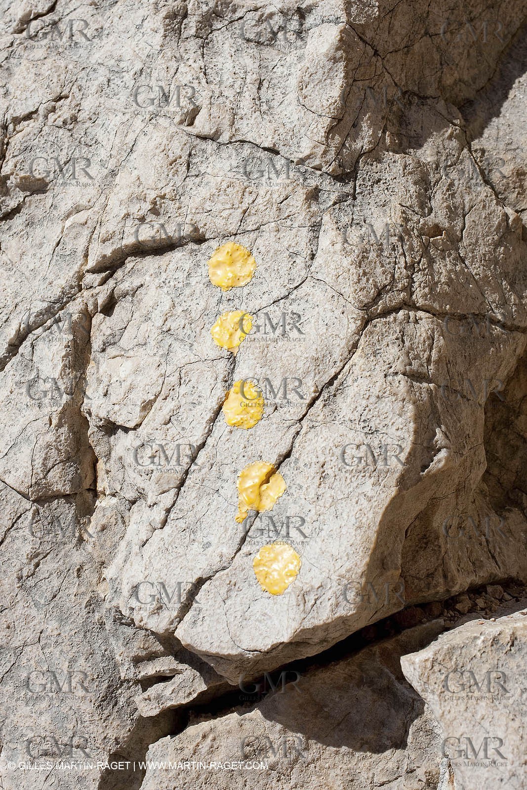 27 03 2009 - Marseille (FRA, 13) - Les Calanques - Morgiou - Path between Luminy and Morgiou