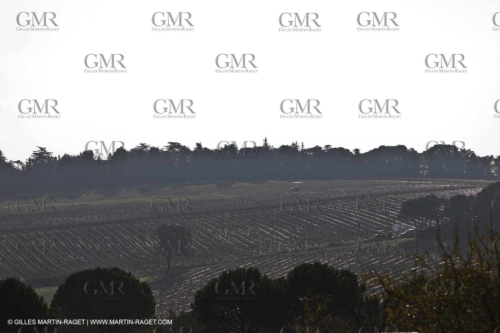 Saint Drézéry (FRA, 34), Domaine de Puech Haut