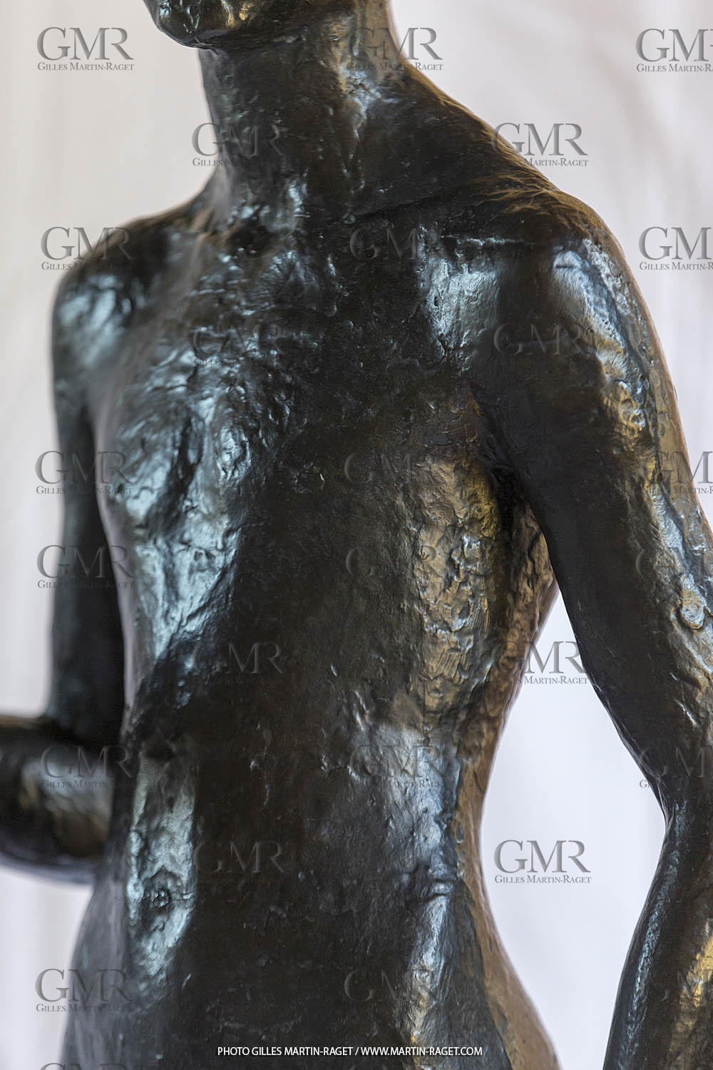 06 03 2016, Saint-Etienne du Grès (FRA,13), Oeuvre de Germaine Richier, Loretto I 1934, Bronze patiné foncé, Numéroté 4 6, fondeur Susse, Paris, 160 x 52 x 35 cm, Collection particulière