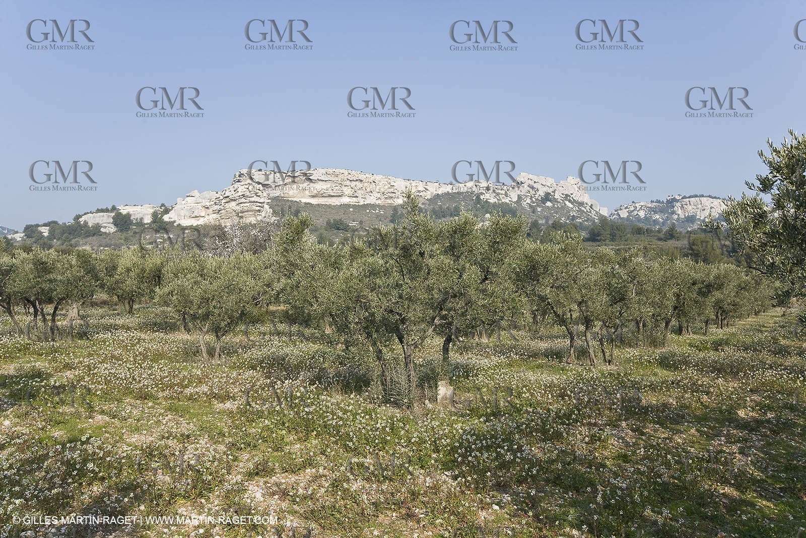 16 02 2008 - Les Baux de Provence (FRA, 13) - Alpilles hills landscapes