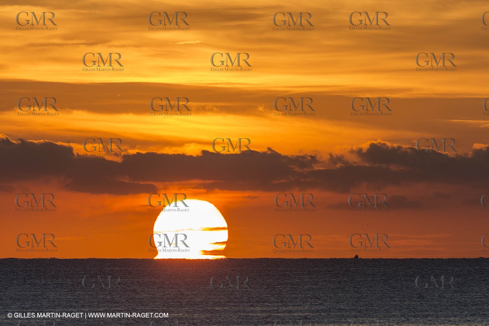 11 10 2014, Alicante (ESP), Volvo Ocean Race 2014-15, Team Alvimedica
