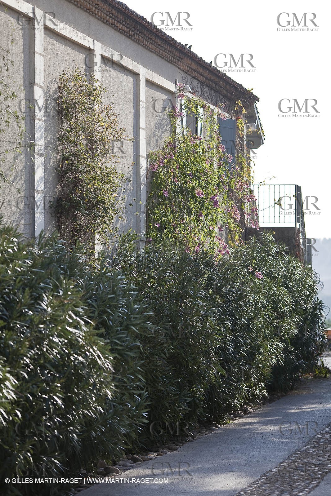 Saint Drézéry (FRA, 34), Domaine de Puech Haut