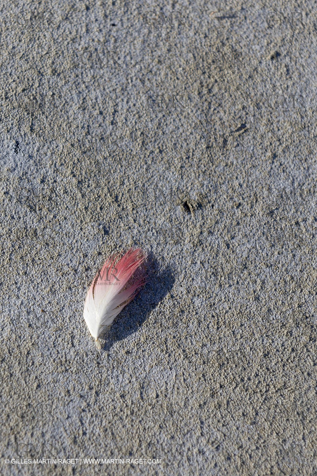 23 10 2014, Salins de Giraud (FRA,13), Salt & Speed 2014, Charlotte Consorti