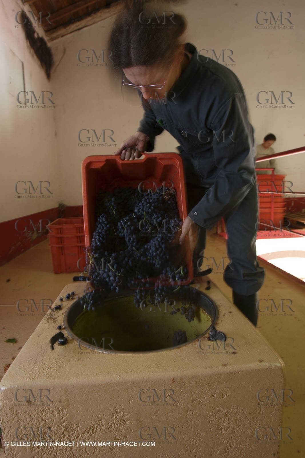 Vendanges -.chateau d'or et de gueule