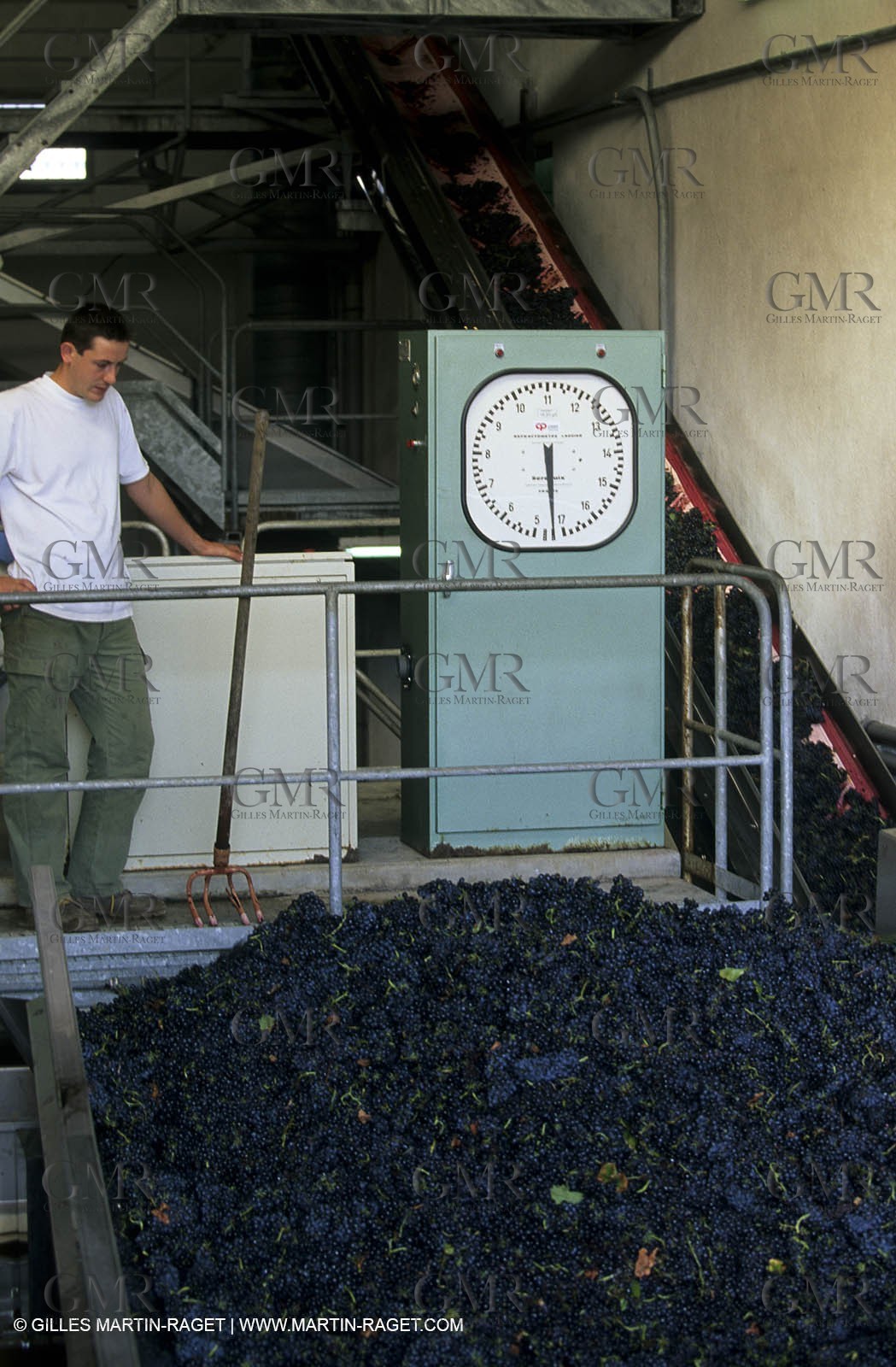 Vendanges à Cairanne