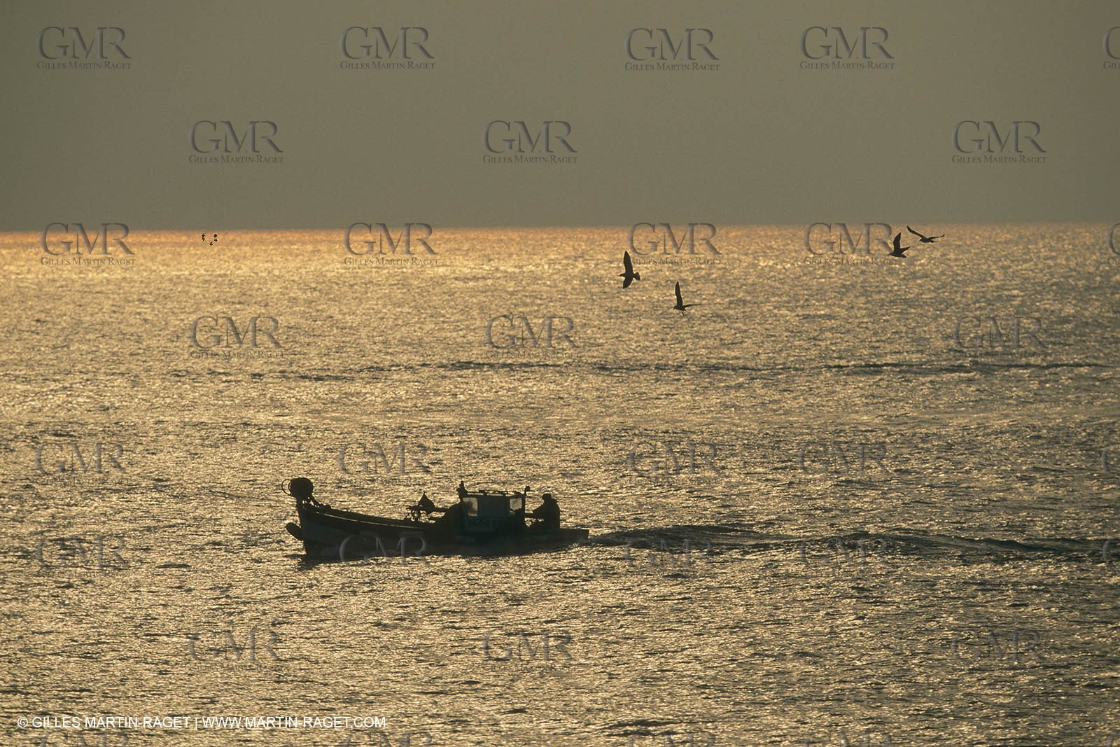 Pêche, barques, pointus, pêcheurs