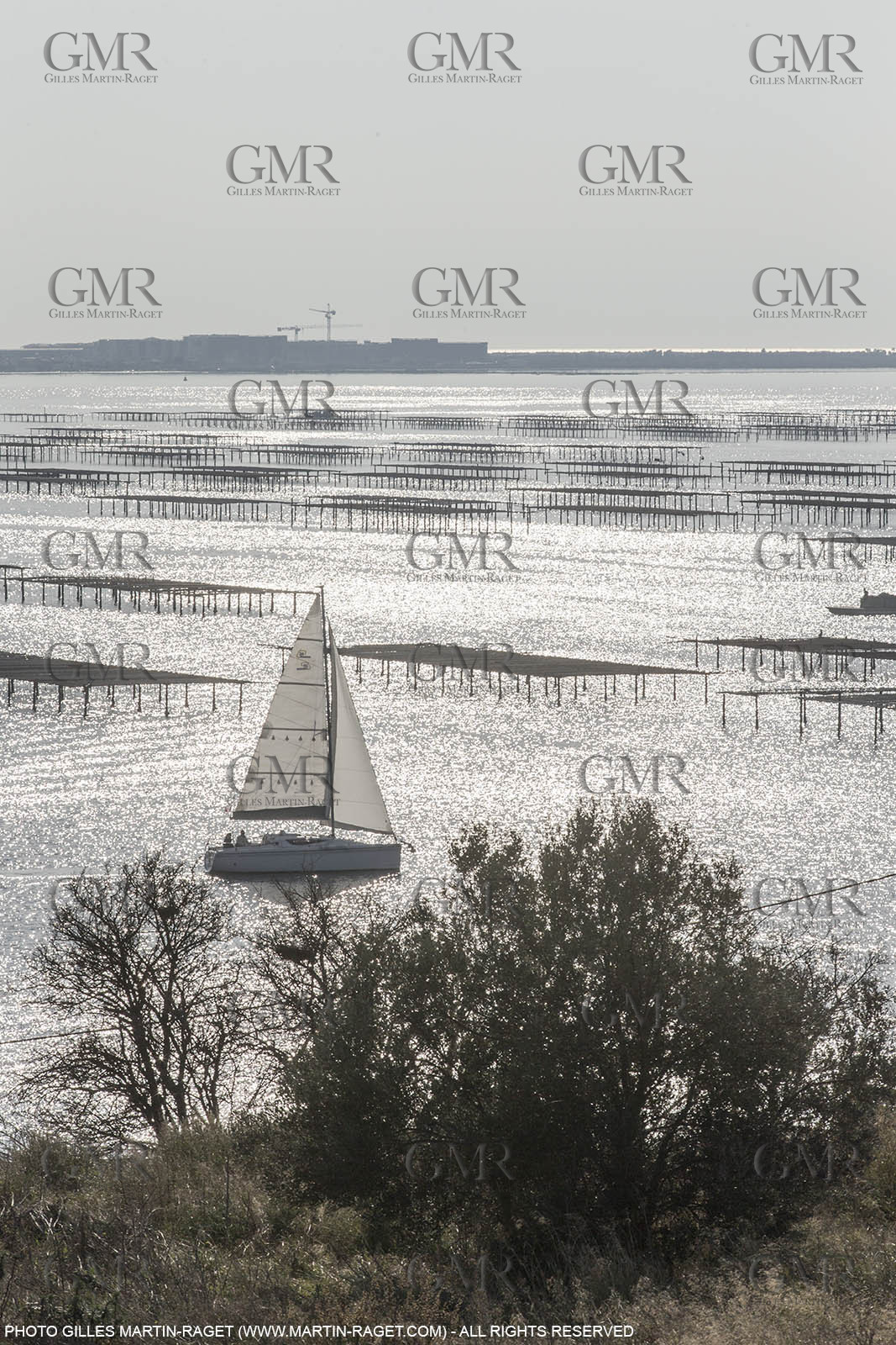 28 01 2016, Sète (FRA,34), Cruising on Thau Basin