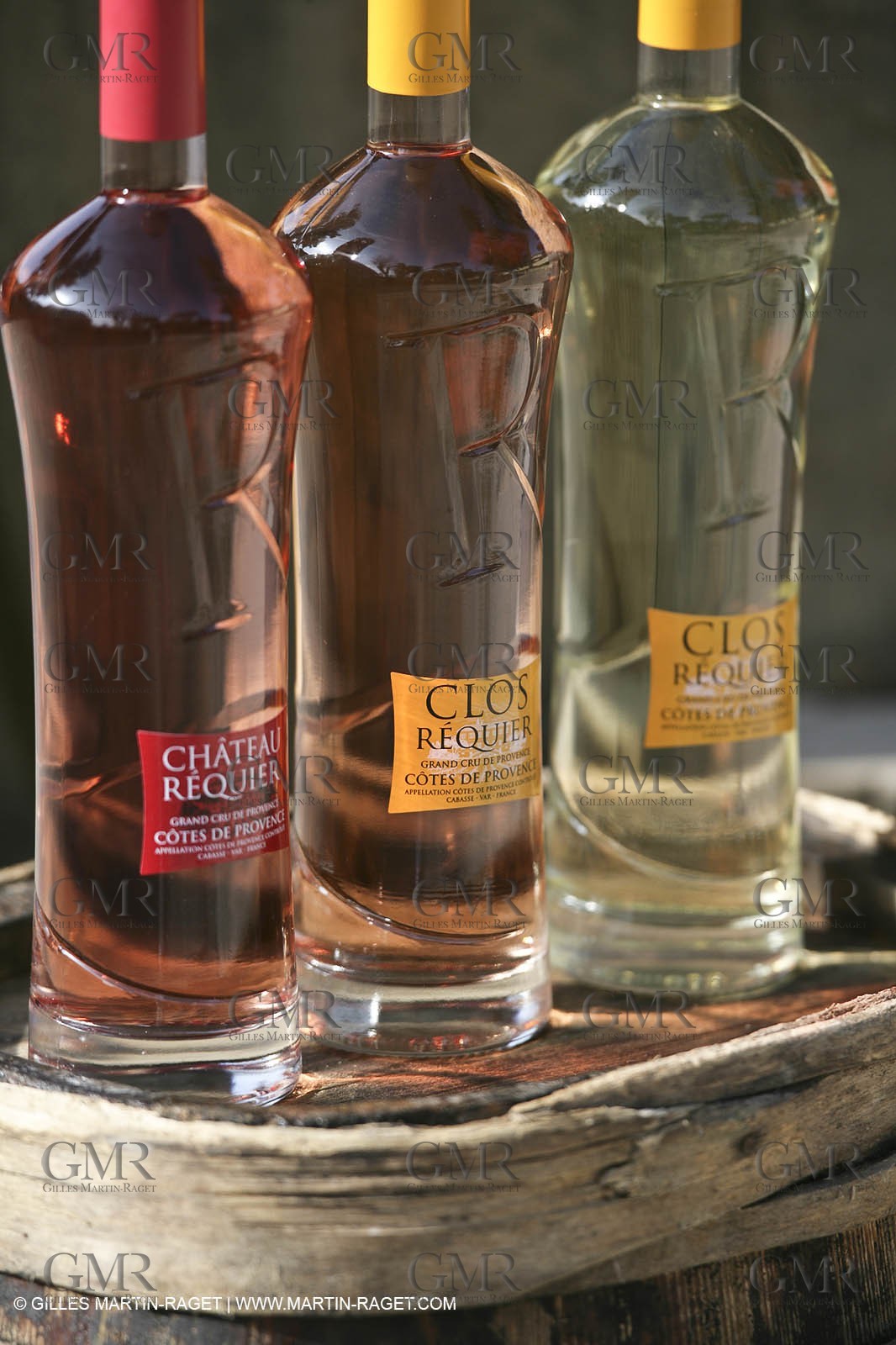 28 02 2008 - Cabasse (FRA, 83) - Domaine du Lac vines