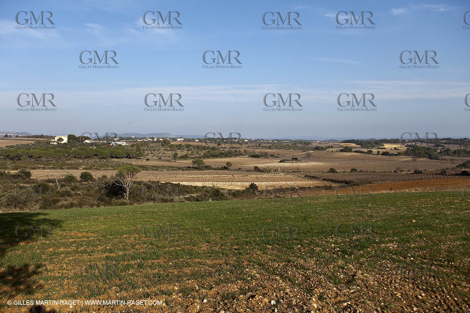 Saint Drézéry (FRA, 34), Domaine de Puech Haut