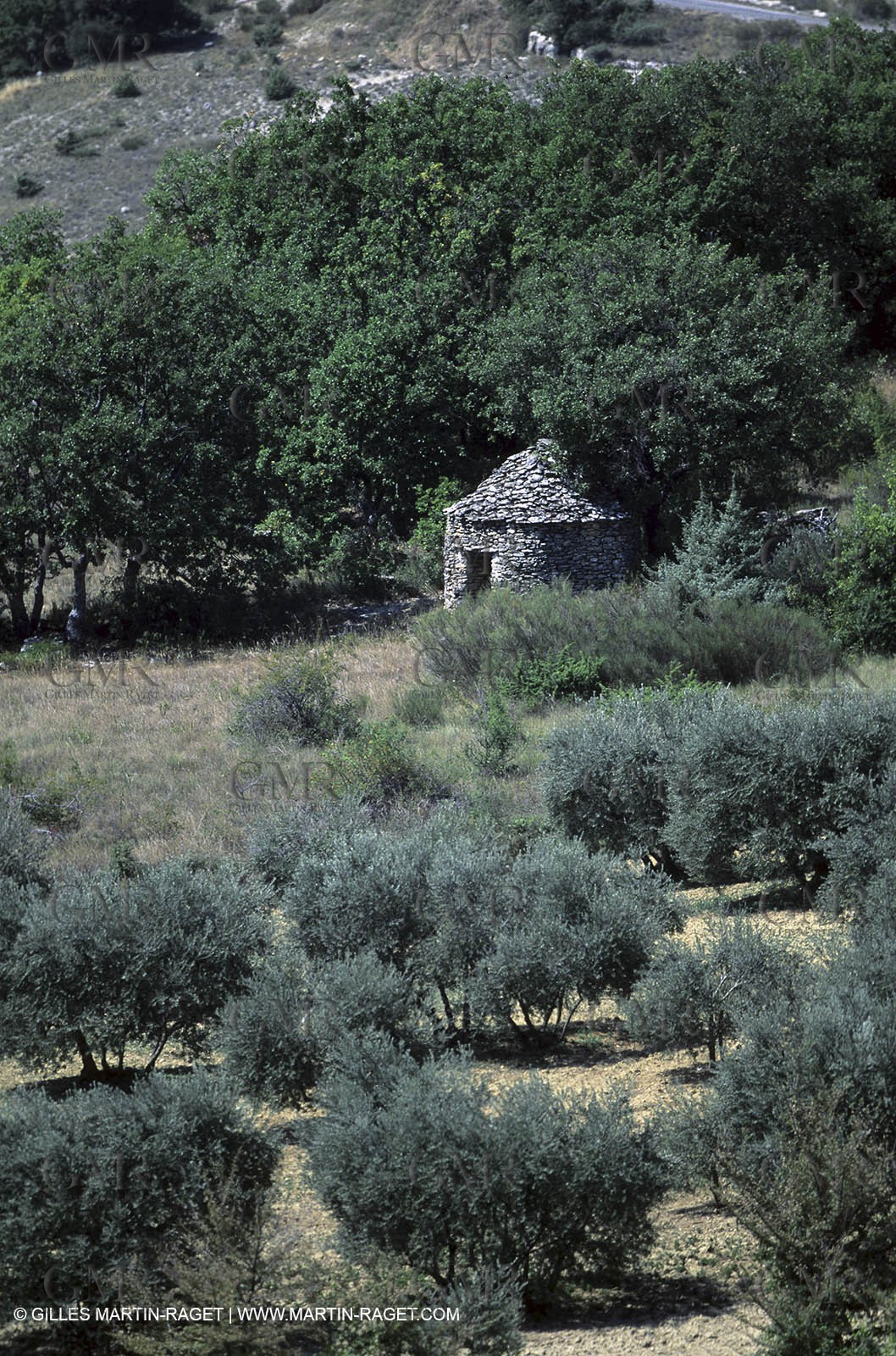 Borie - around Frocalquier