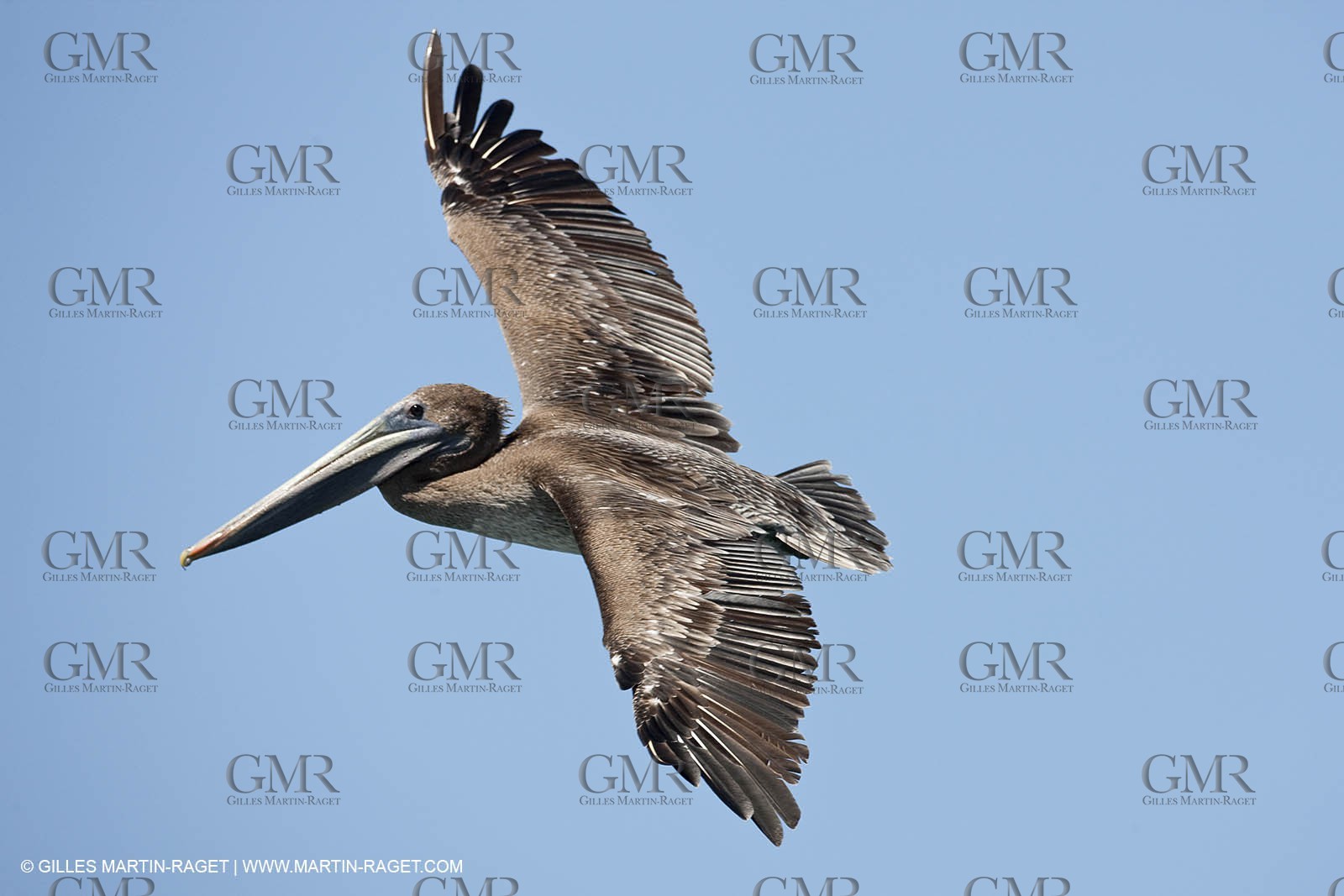 10 07 2009 - San Diego (USA,CA) -33rd America's Cup - BMW ORACLE Racing - First sea trials .of the newly modified BOR 90 trimaran