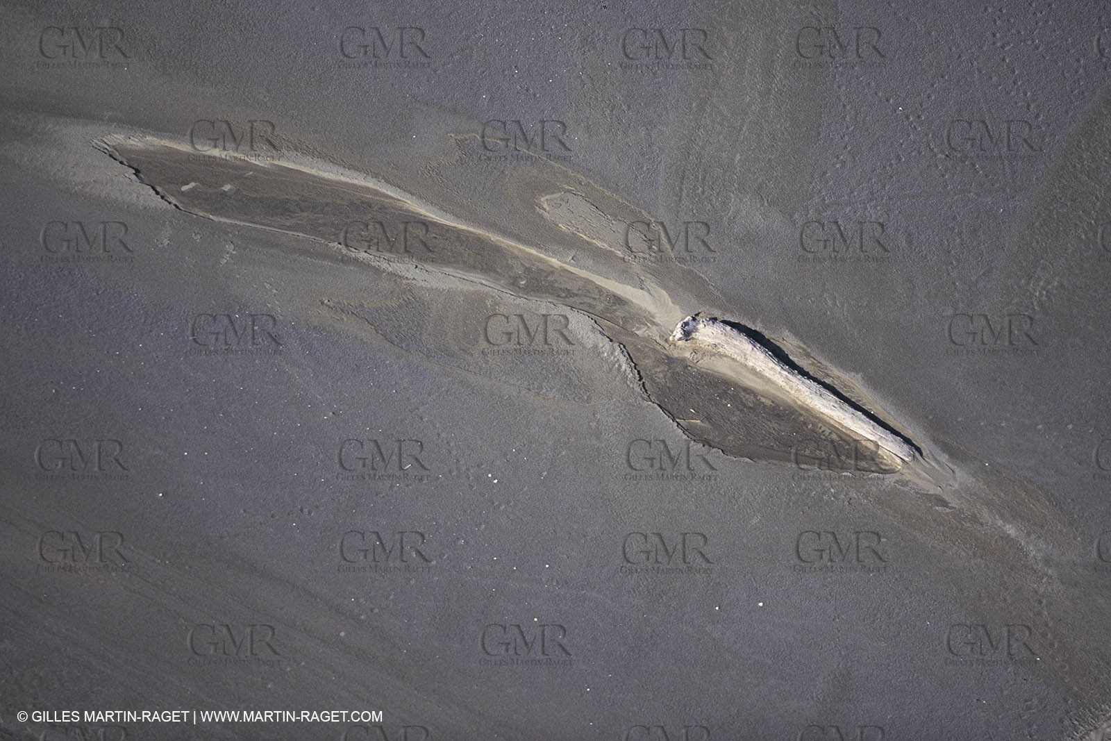 France, Provence, Camargue, Nature, plage, sable