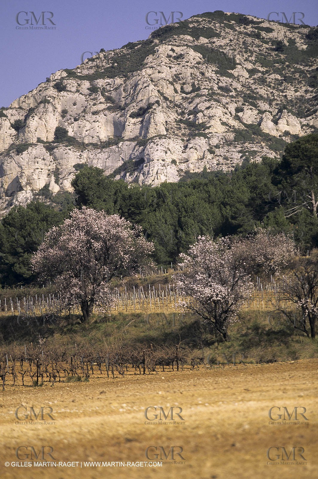 ALPILLES0017.jpg